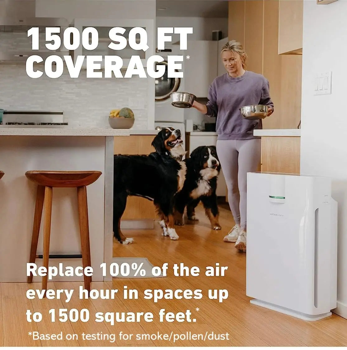 Smart Air Purifiers, Large Rooms - HSP002 - True HEPA Air Purifier, Cleaner & Filter for Allergies, Smoke