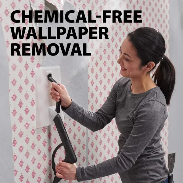 Wagner Spraytech 0282014 915e On-Demand Steam Cleaner & Wallpaper Removal, 18 Attachments