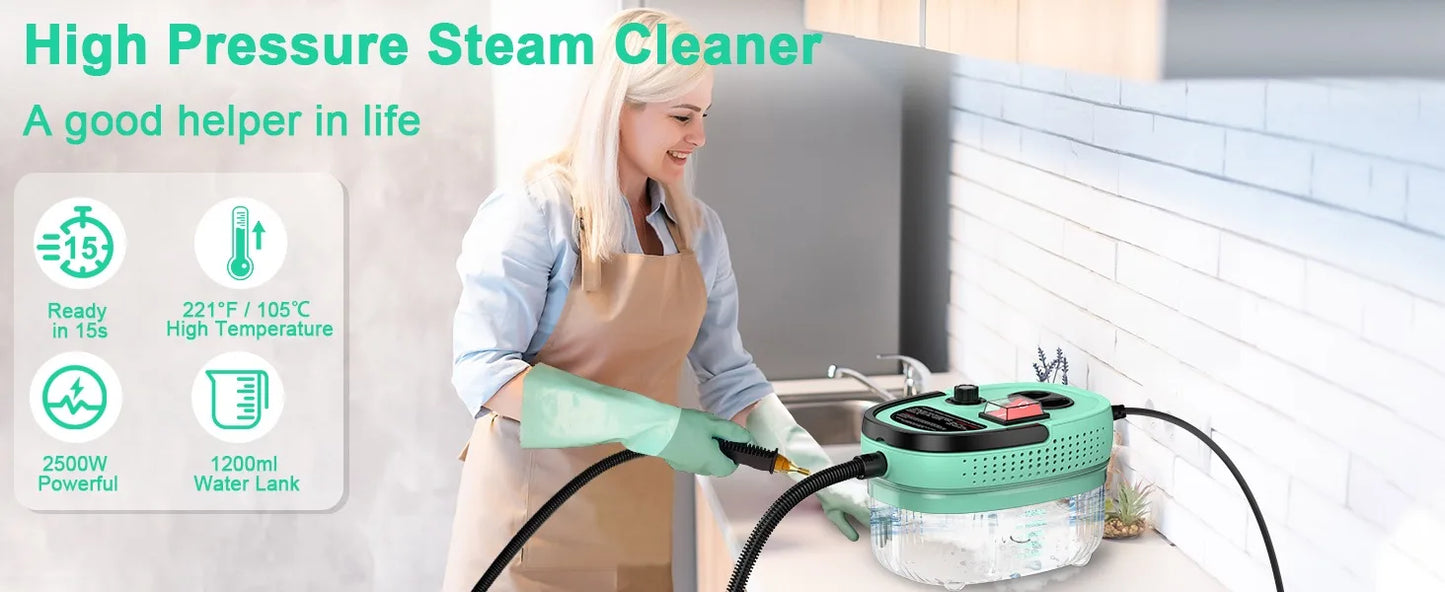 Steam Cleaner, 1200ml High Pressure Steamer for Cleaning Handheld Steam Cleaner for Home, High-Temperature Steamer Cleaner, Mint
