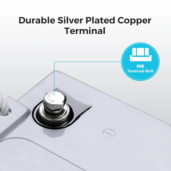 Renogy 12 Volt 100Ah Deep Cycle AGM Battery, 3% Self-Discharge Rate, 1100A Max Discharge Current,