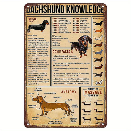 Dachshund Knowledge Metal Tin Sign Interior 8" x 8" Wall Decor