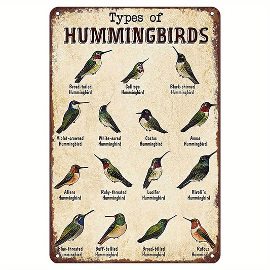 Types Of Hummingbirds Retro Metal Sign,Vintage Tin Sign Funny Wall Art 8" x 12"