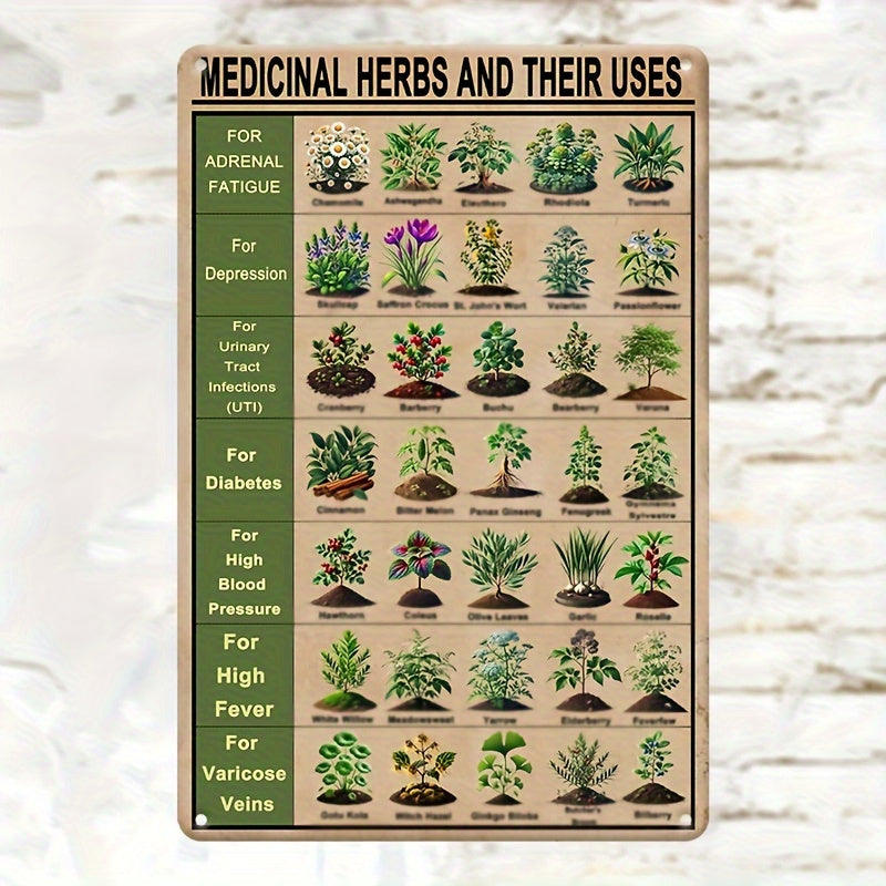 Vintage Style Medicinal Herbs and Their Uses Metal Tin Sign 8" x 12"