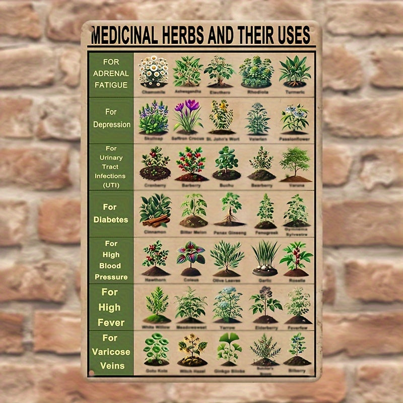 Vintage Style Medicinal Herbs and Their Uses Metal Tin Sign 8" x 12"