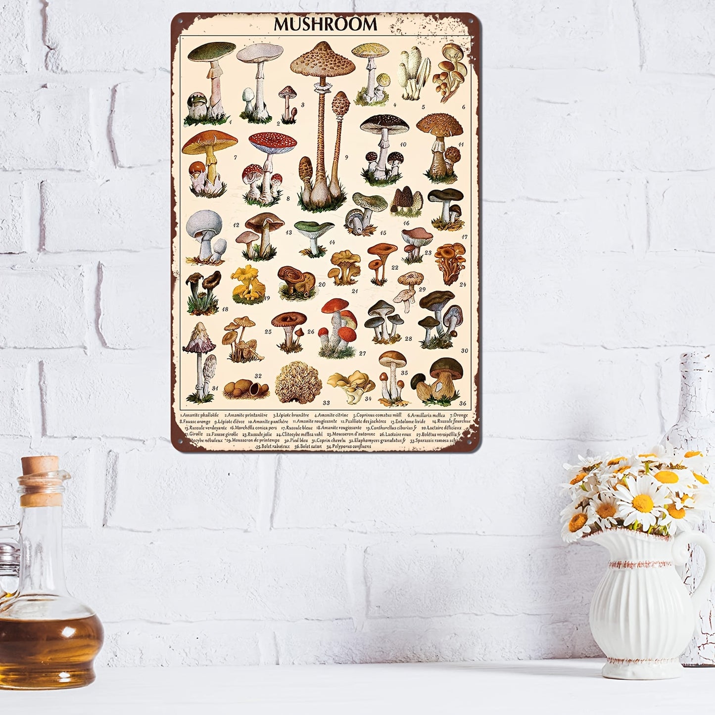 Vintage Mushroom Identification Guide - Rustic Metal Wall Art, 8x12" Educational Chart