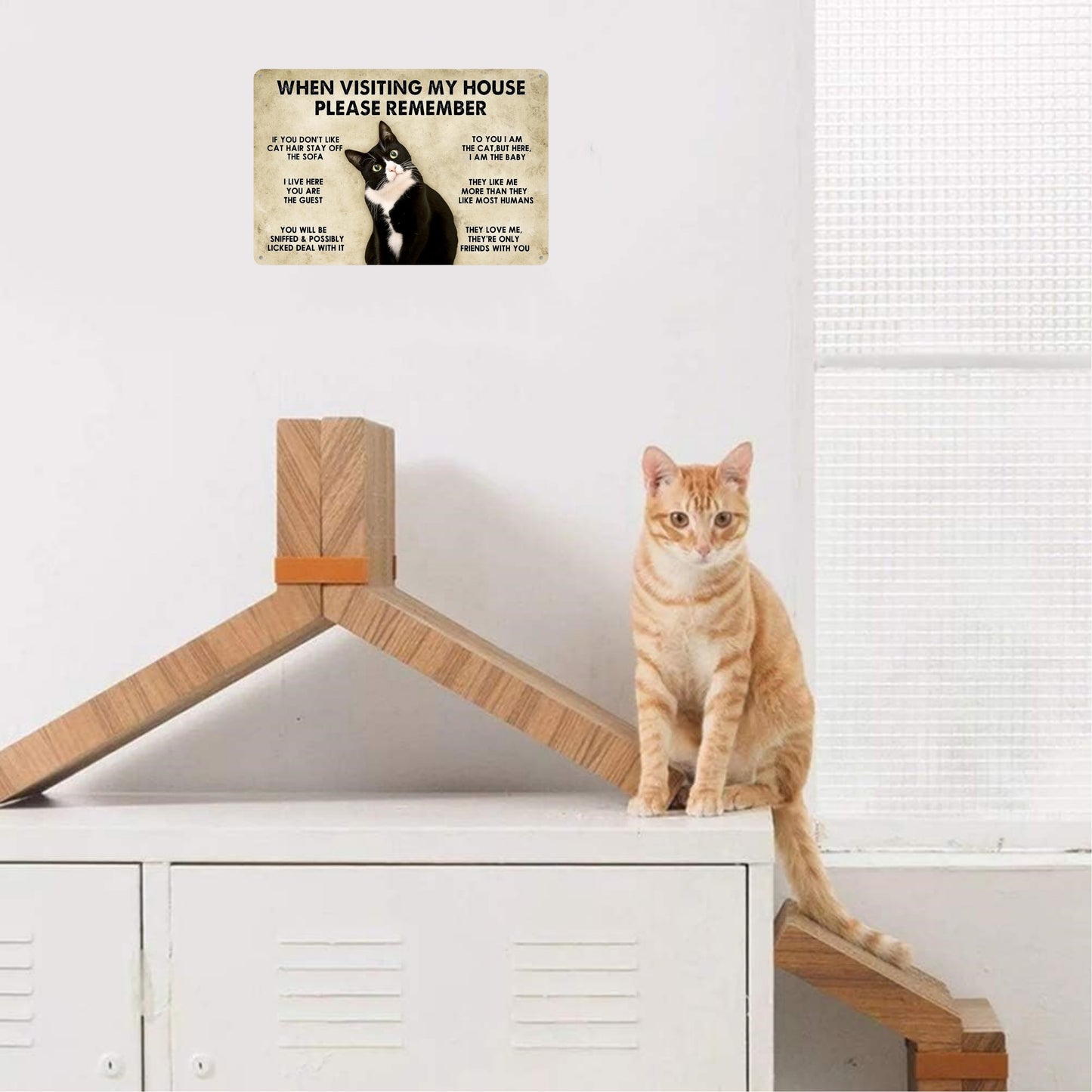 1pc, Cat - House Rules Funny Metal Tin Sign (11.81"x7.87"/30x20cm), Novelty Home Decor