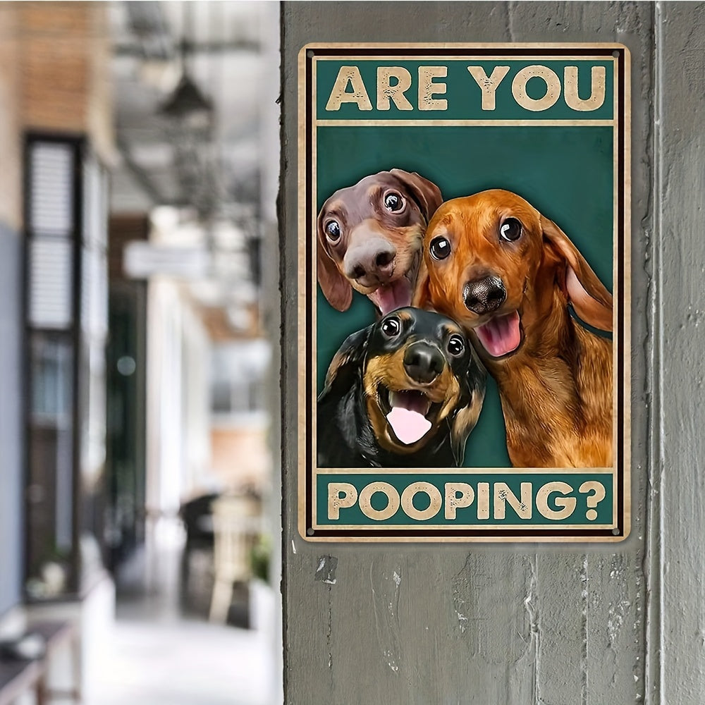 1pc Metal Tin Sign, Dachshund Vintage Metal Tin Sign 'Are You Pooping Sign' Bathroom Funny 8" x 12''