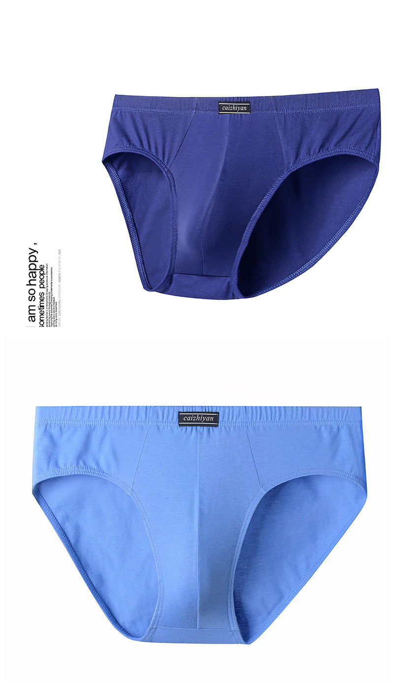 Carefully Selected Pure Cotton Men's Underwear Plus Size Briefs Breathable Sweat-Absorbent Wholesale