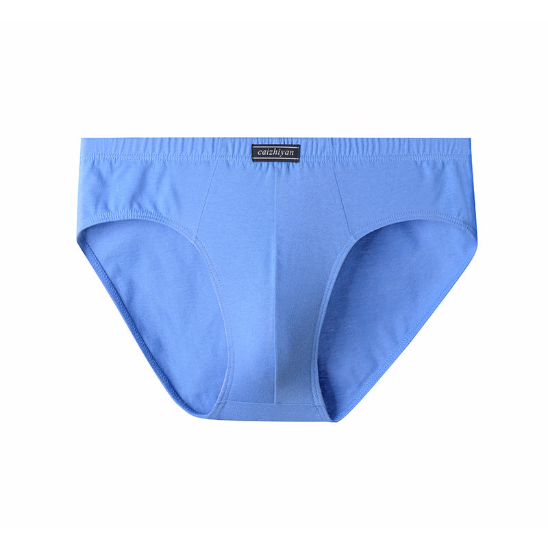 Carefully Selected Pure Cotton Men's Underwear Plus Size Briefs Breathable Sweat-Absorbent Wholesale