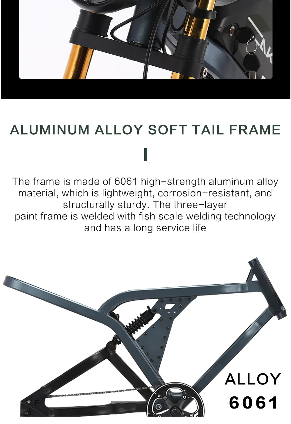 US Stock 1500w 48V Fat Tire Electric Bike Motorcycle Adults Off Road All-Terrain Bikes