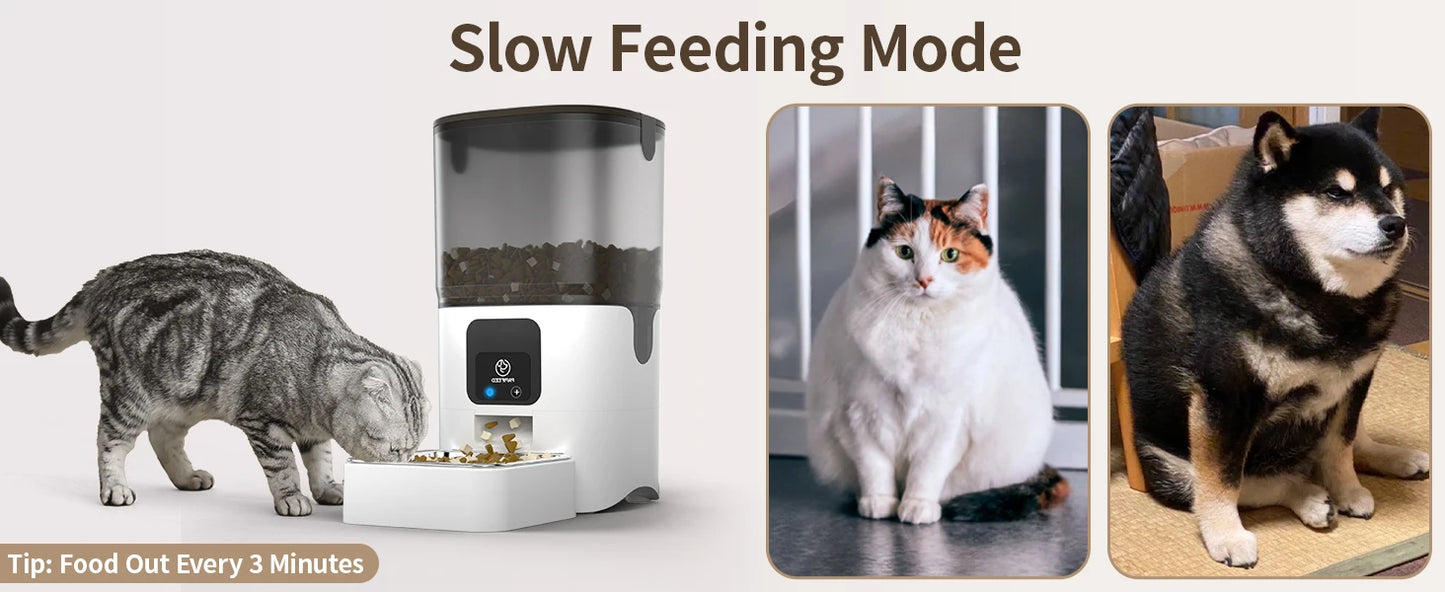 PAPIFEED Smart Automatic Cat Feeders WiFi Pet Feeder with APP Control for Remote Feeding Detachable