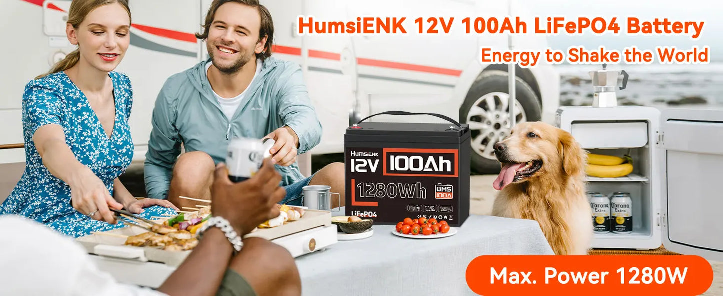 Humsienk 12V 100Ah Built-in 100A BMS Lithium Iron Phosphate Battery Packs