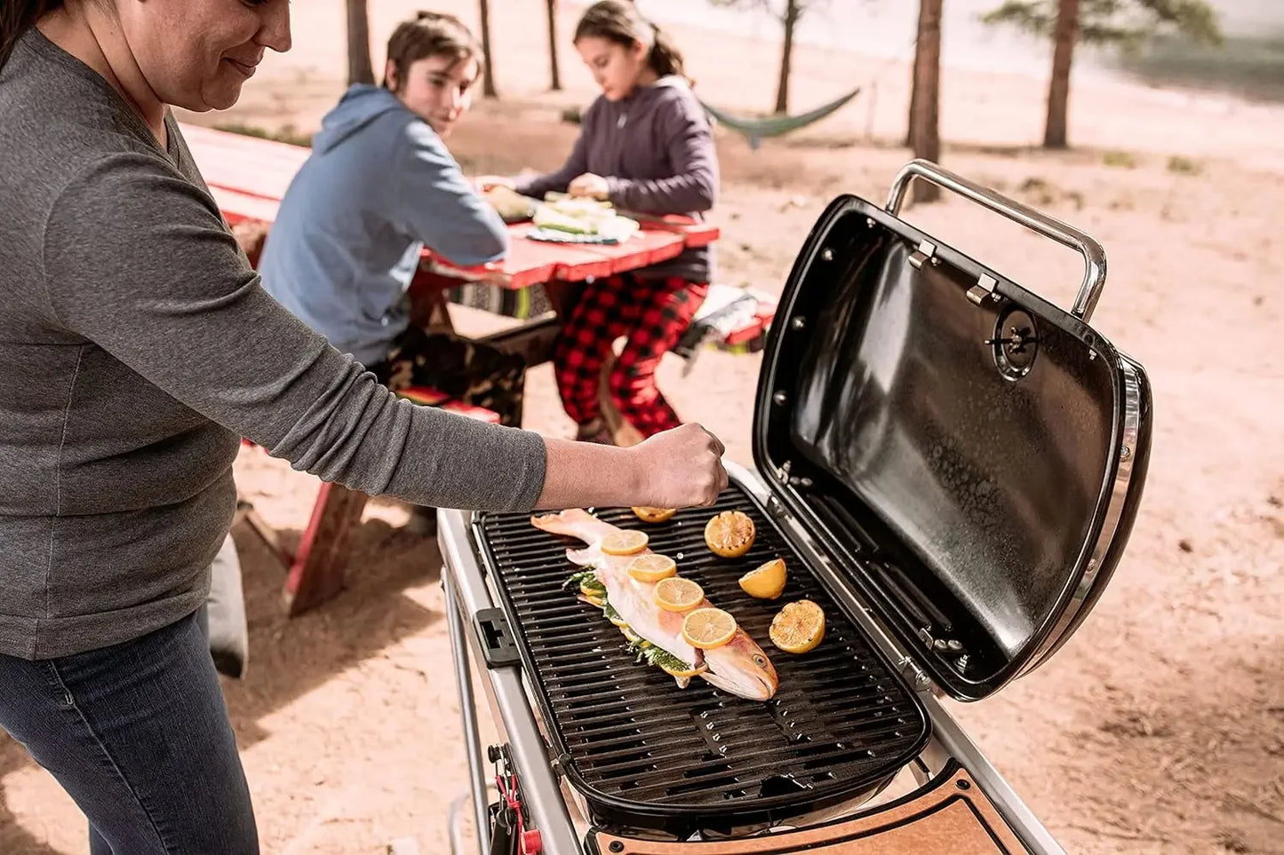 WEBER Traveler Portable Gas Grill, Blue Gas Barbecue Grill