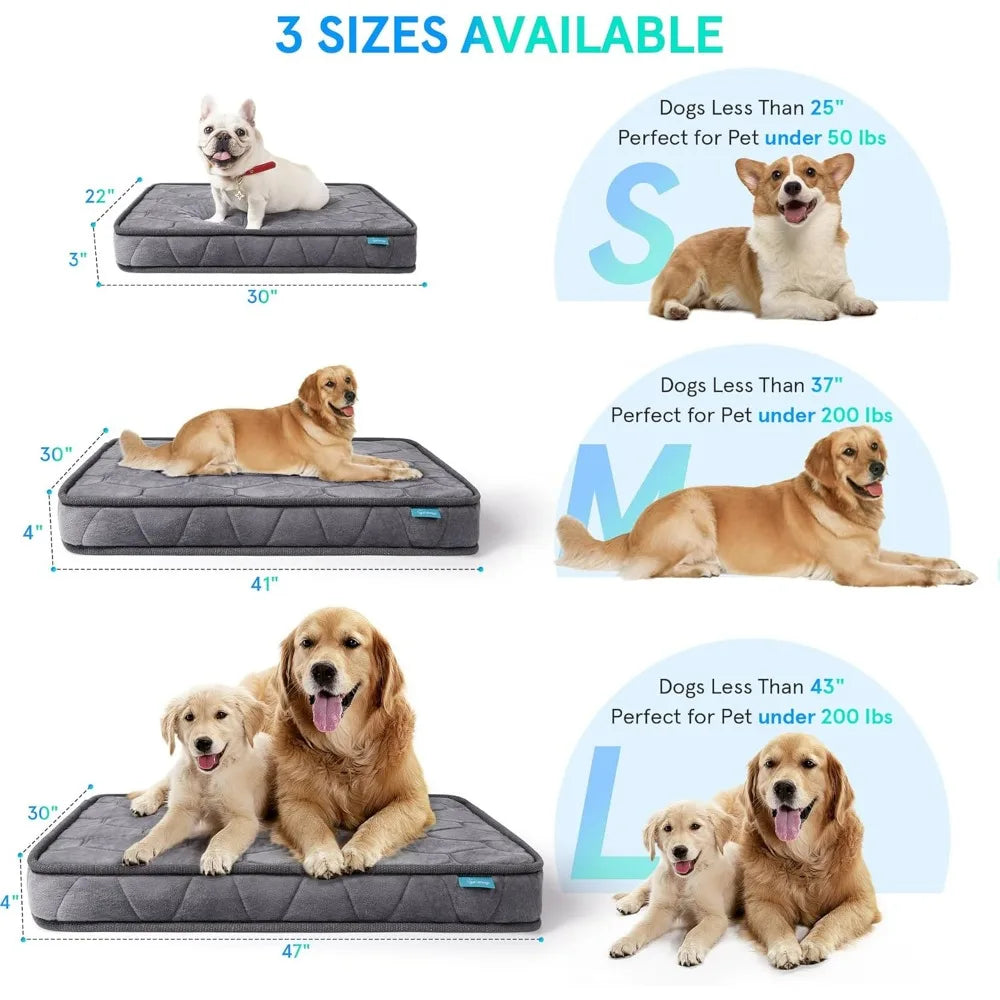 Orthopedic Dog Bed for Small Dogs or Cats, 3 Inch Thick ,Washable, w/Supportive Pocket Spring