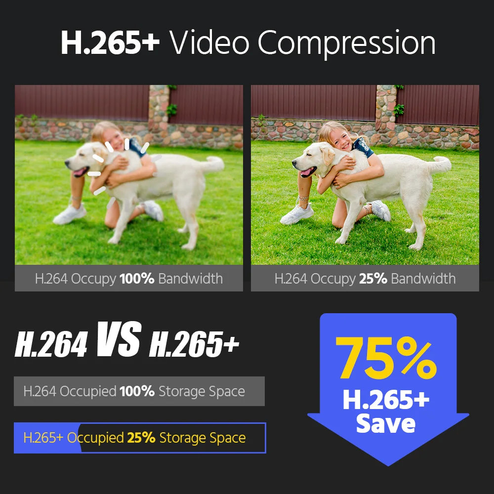 ANNKE Smart Dual-Light HD POE Video Security System 16CH 12MP NVR H.265+ With 12X 12MP Weatherproof