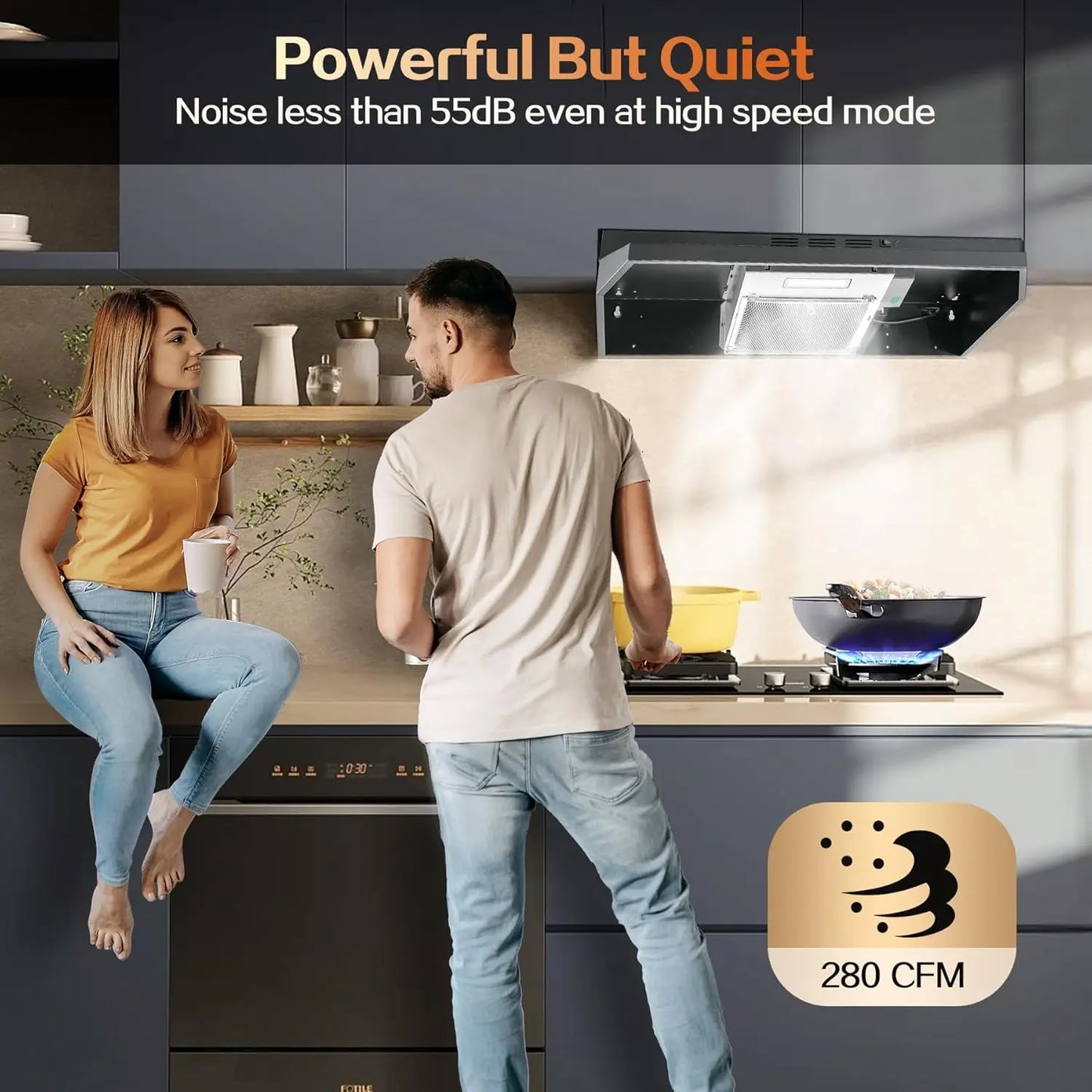 24 inch Under Cabinet 280CFM Black Ducted/Ductless Kitchen Stove Vent with 2 Speed Fan LED Bulb