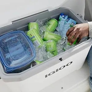 Ultra Series, Insulated Portable Cooler, Hard Cooler with Heavy Duty Handles & Ice Retention IGLOO