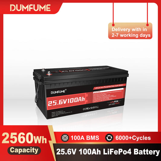 Dumfume 25.6V 100Ah Lifepo4 Lithium Battery 2560w/With 100A BMS 12.8V 100/300/600Ah 38.V 100Ah