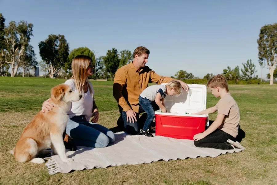 Igloo 48 QT Laguna Ice Chest Cooler, Red