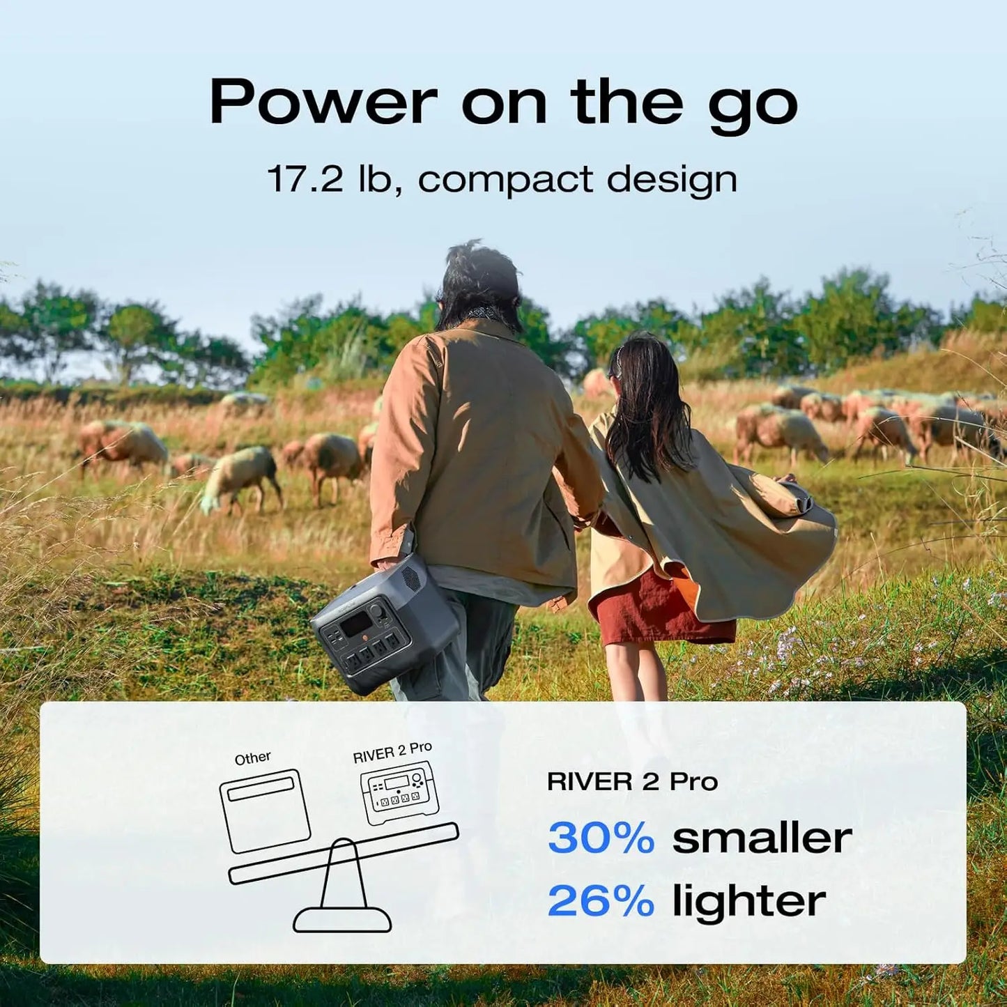 ECOFLOW Portable Power Station RIVER 2 Pro 700, 716Wh LiFePO4 Battery, 4x800W AC Outlets, Solar