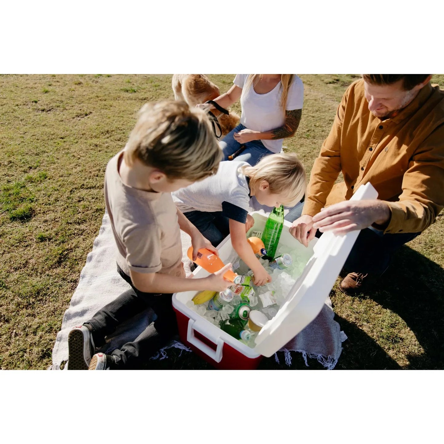 Igloo 48 QT Laguna Ice Chest Cooler, Red