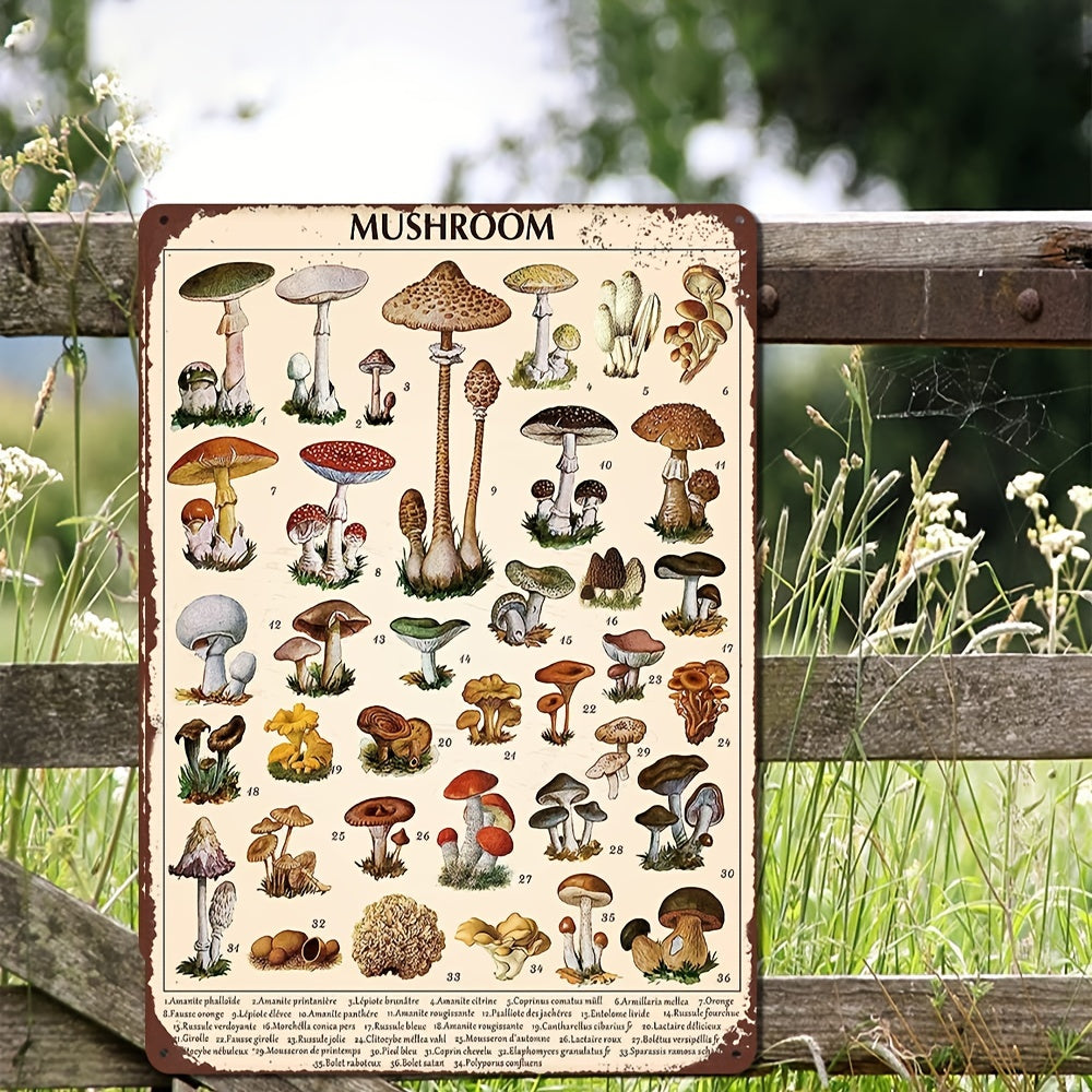 Vintage Mushroom Identification Guide - Rustic Metal Wall Art, 8x12" Educational Chart