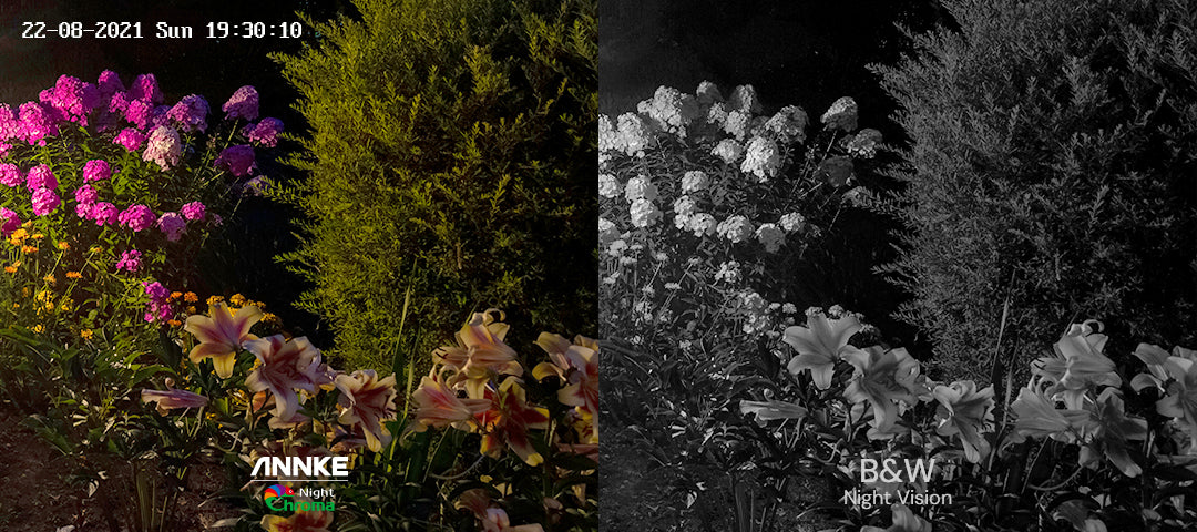 ANNKE 8CH 5MP Video Surveillance 5IN1 DVR/4X 5MP Waterproof Cameras CCTV Kit Color Night Vision